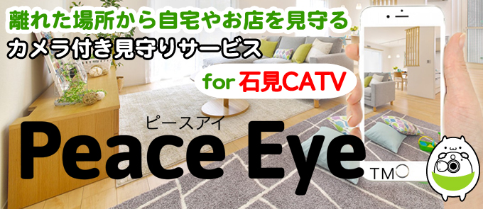 月々990円 離れた場所から自宅やお店を見守る クラウド型スマートホームPeace Eye(ピースアイ) for CATV